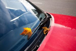 Leaf on Windshield of Red Car